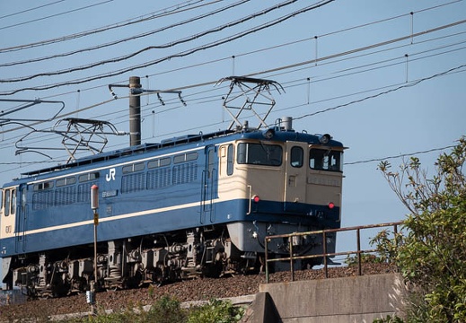 202011151117-DSC06359RX10M4.jpg