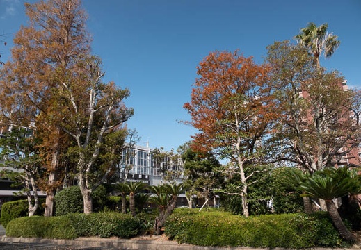 202011151202-DSC06411RX10M4.jpg