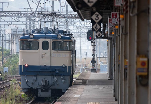 202011171126-DSC06682RX10M4.jpg