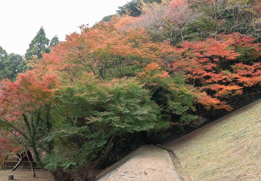 202011181000-DSC07305RX10M4.jpg
