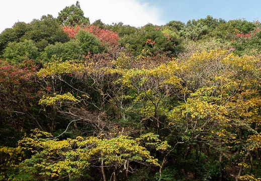 202011181019-DSC07359RX10M4.jpg