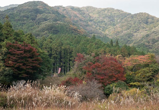 202011181031-DSC07427RX10M4.jpg