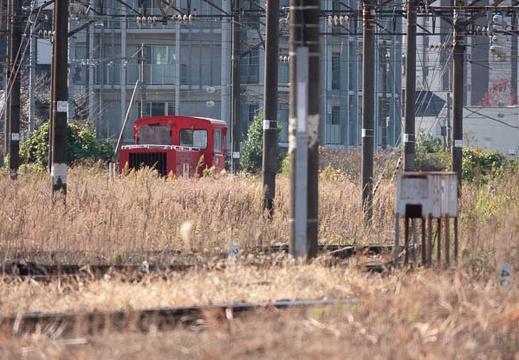 202011191050-DSC08083RX10M4.jpg