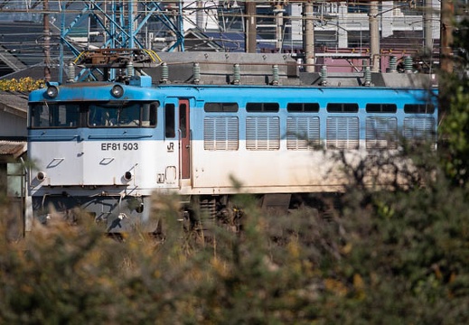 202011191106-DSC08102RX10M4.jpg