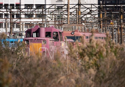 202011191111-DSC08115RX10M4.jpg