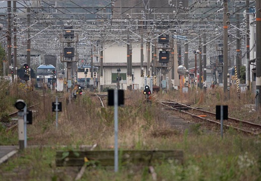202011201328-DSC08478RX10M4.jpg