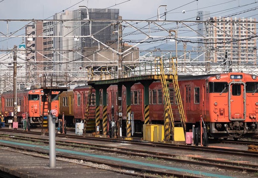 202011201408-DSC08595RX10M4.jpg