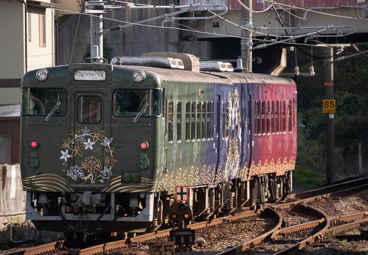 202011210913-DSC08923RX10M4.jpg