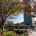202011211436-DSC09761RX10M4.jpg