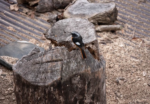 202012131015-DSC00012.jpg