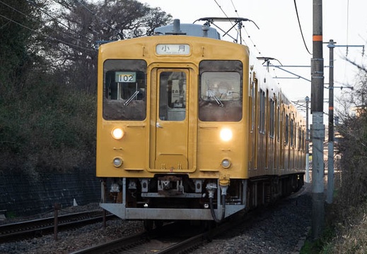202101310837-DSC00263.jpg