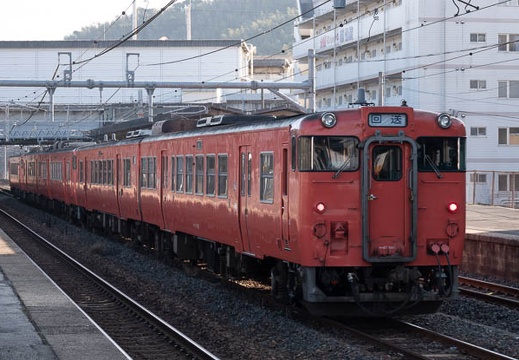 202101310935-DSC00443.jpg