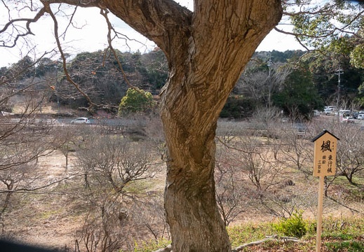 202102061501-DSC00890.jpg