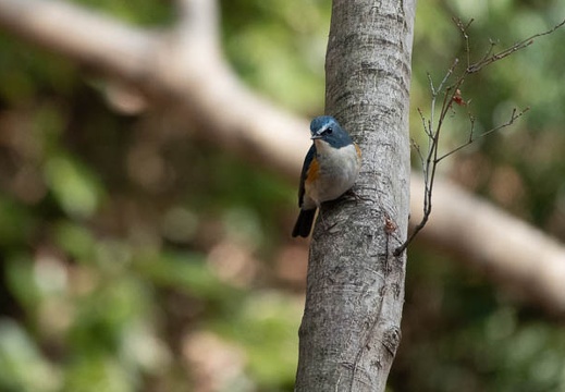 202102111304-DSC01040.jpg