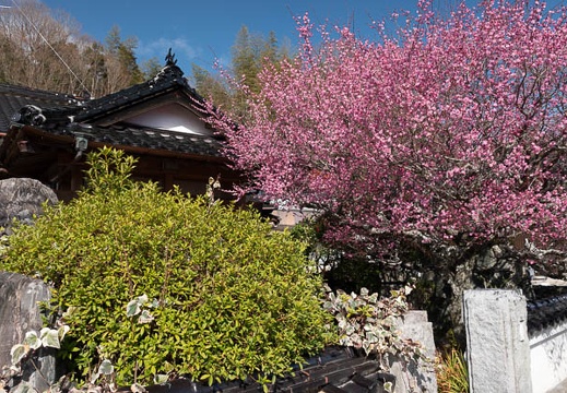 202102161039-DSC01411.jpg