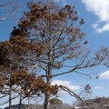 202102161140-DSC01570.jpg