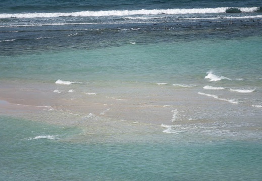 202102221019-DSC01677.jpg