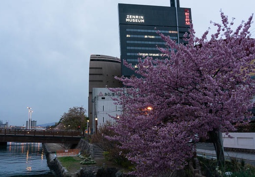 202103071816-DSC08376.jpg