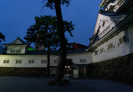 202103071834-DSC08420.jpg