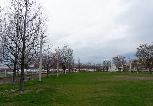 202103201256-DSC08492.jpg