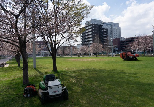 202103221305-DSC08526.jpg