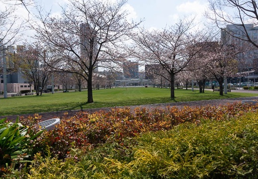202103221323-DSC08566.jpg
