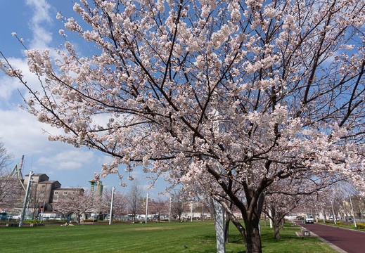 202103221329-DSC08580.jpg