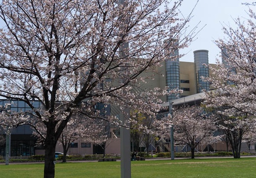 202103231142-DSC08701.jpg