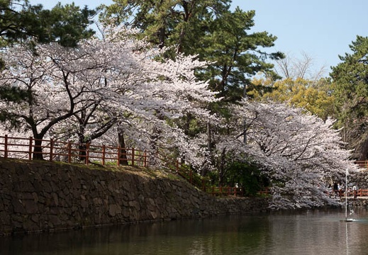 202103251213-DSC03970.jpg
