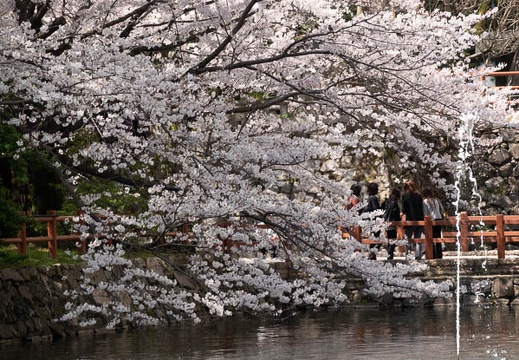202103251213-DSC03972.jpg