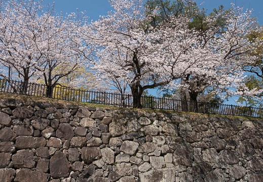 202103251248-DSC04111.jpg