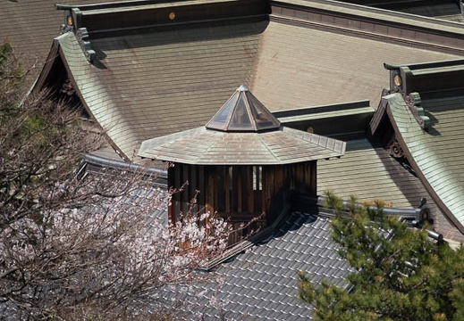202103251343-DSC04330.jpg