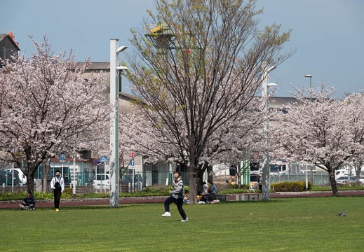 202103261215-DSC04530.jpg
