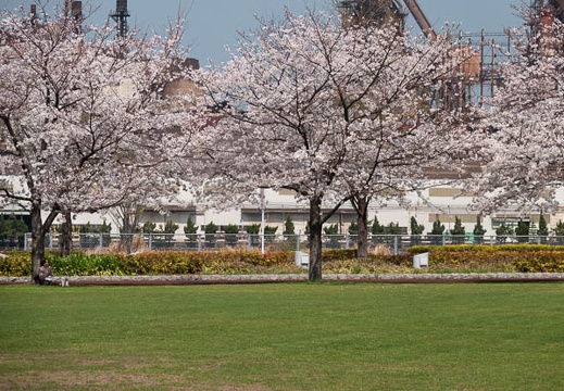 202103261218-DSC04549.jpg
