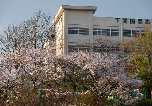 202103270703-DSC04667.jpg