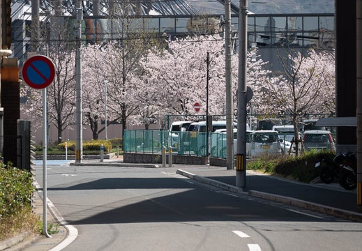202103271206-DSC04732.jpg