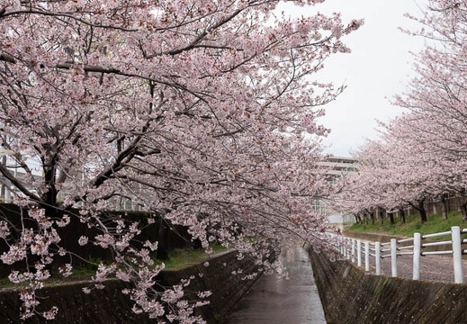 202103281447-DSC04870.jpg