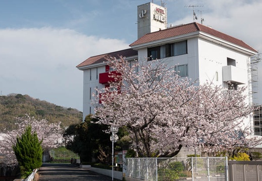 202103281549-DSC04951.jpg