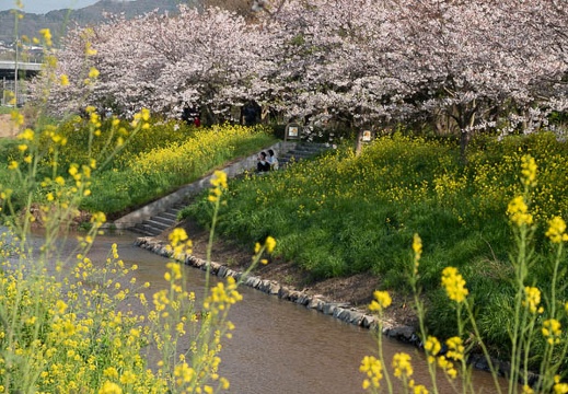 03.28 砂子多川ほたる公園