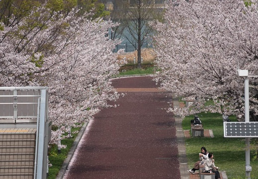 202103291250-DSC05360.jpg