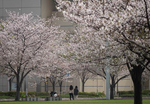 202103291317-DSC05409.jpg