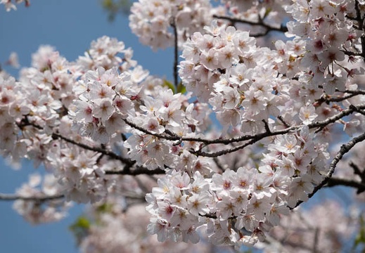 202103310941-DSC05775.jpg
