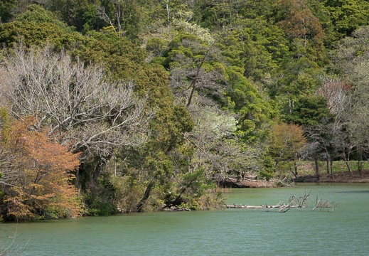 202104051047-DSC06906.jpg