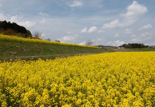 202104081304-DSC07671.jpg