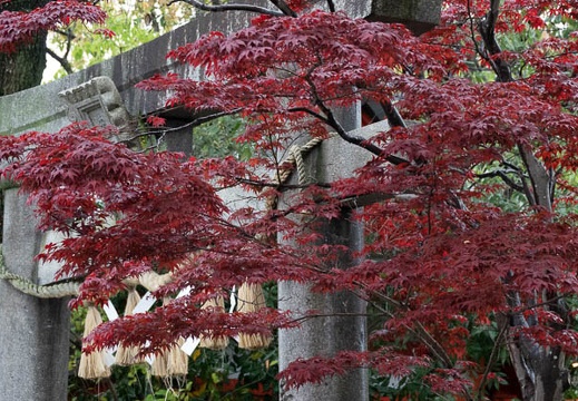 202104131214-DSC08140.jpg