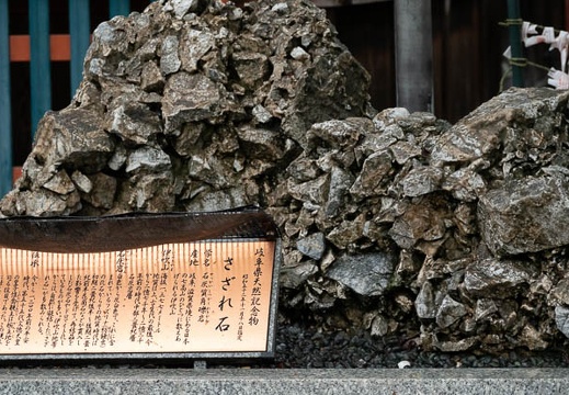 202104131218-DSC08160.jpg