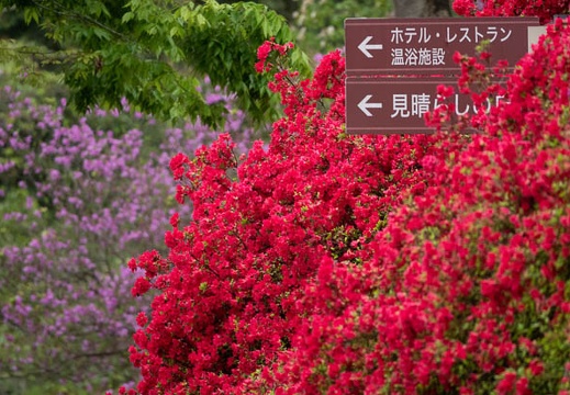 202104131428-DSC08350.jpg