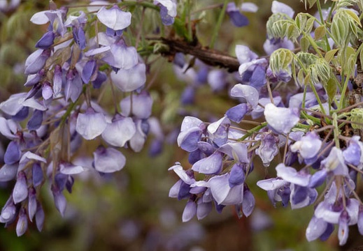 202104131430-DSC08354.jpg