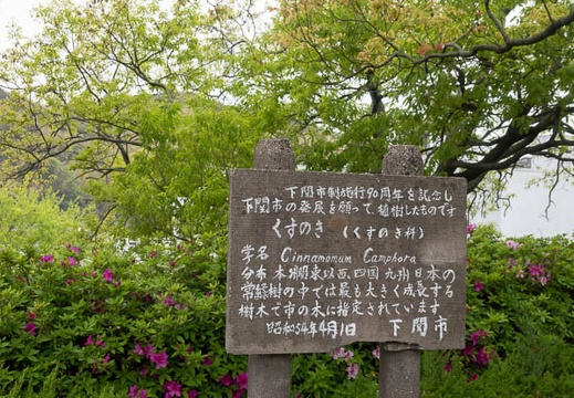 202104161450-DSC08373.jpg