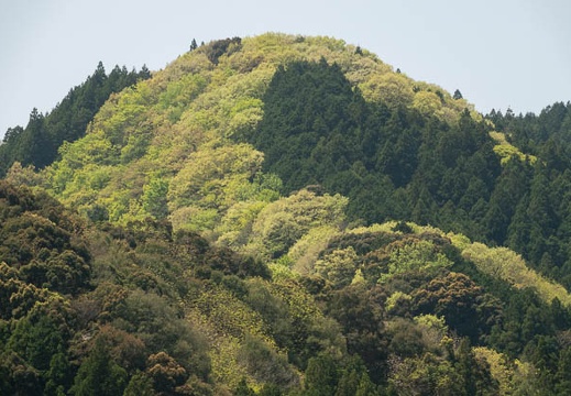 202104211149-DSC08783.jpg